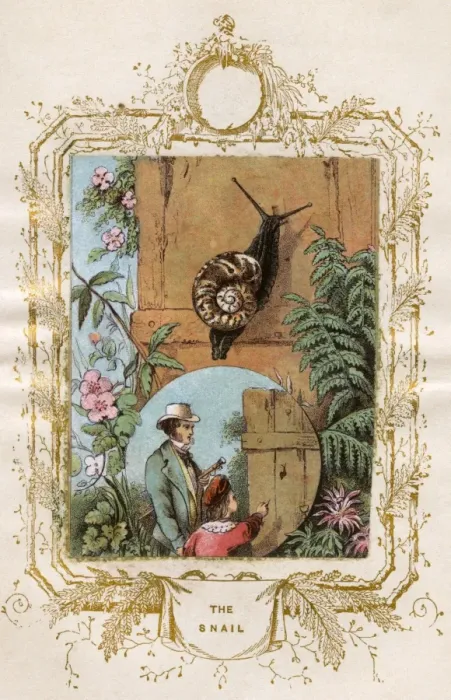Framed Print : Father and son studying a snail Framed Print : Father and son studying a snail