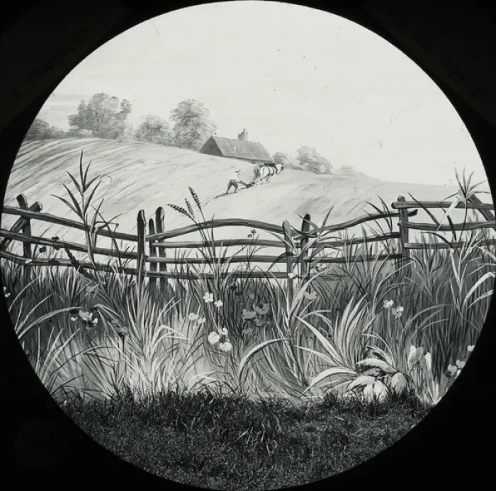 Framed Print : Favourite Sayings - No plough, many weeds Framed Print : Favourite Sayings - No plough, many weeds