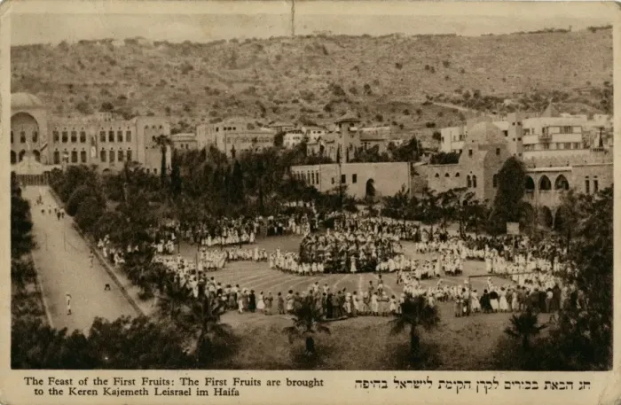 Framed Print : Feast of the First Fruits, Haifa, Israel Framed Print : Feast of the First Fruits, Haifa, Israel
