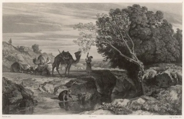 Framed Print : Feeding a Camel Framed Print : Feeding a Camel