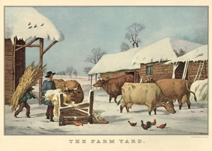 Framed Print : Feeding the Cows Date: 1856 Framed Print : Feeding the Cows Date: 1856
