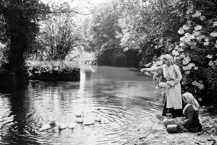 Framed Print : Feeding the ducks, Victorian period Framed Print : Feeding the ducks, Victorian period