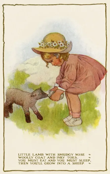Framed Print : Feeding a lamb Framed Print : Feeding a lamb