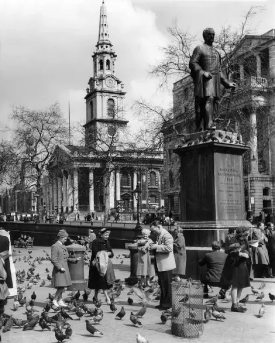 Framed Print : Feeding Pigeons 1950 Framed Print : Feeding Pigeons 1950