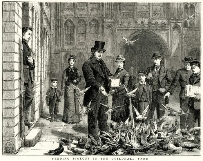 Framed Print : Feeding pigeons in the Guildhall Yard, City of London 1877 Framed Print : Feeding pigeons in the Guildhall Yard, City of London 1877