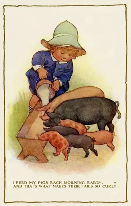 Framed Print : Feeding pigs Framed Print : Feeding pigs