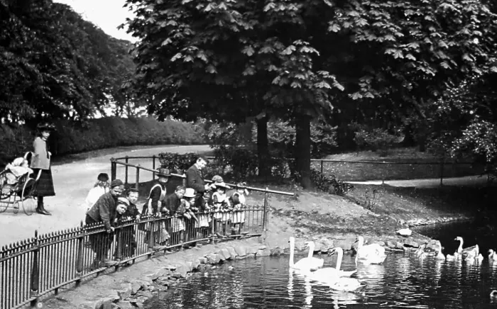 Framed Print : Feeding the swans, Moor Park, Preston, early 1900s Framed Print : Feeding the swans, Moor Park, Preston, early 1900s