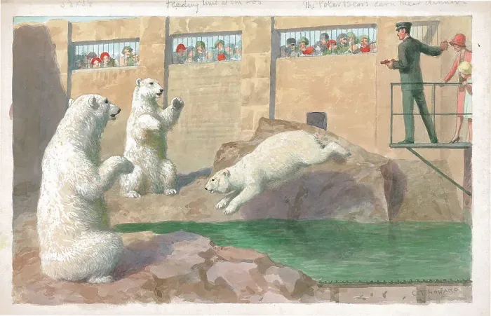 Framed Print : Feeding Time at the Zoo. The Polar Bears Earn their Dinner Framed Print : Feeding Time at the Zoo. The Polar Bears Earn their Dinner