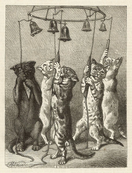 Feline Bell-Ringers 1875