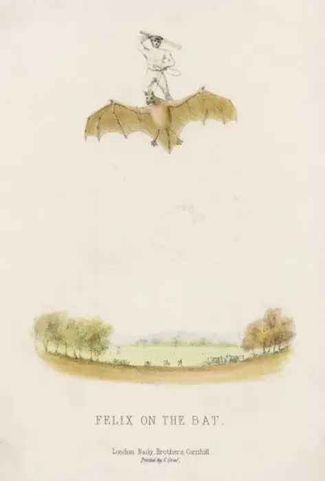 Framed Print : Felix on the Bat Framed Print : Felix on the Bat