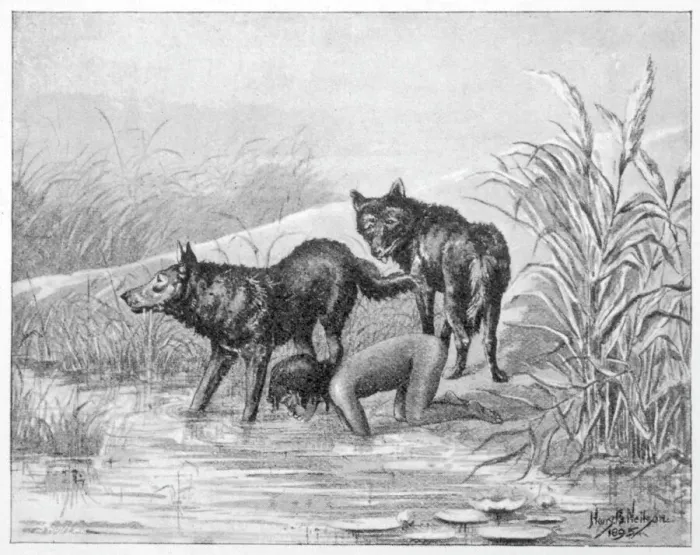 Framed Print : Feral Children Framed Print : Feral Children