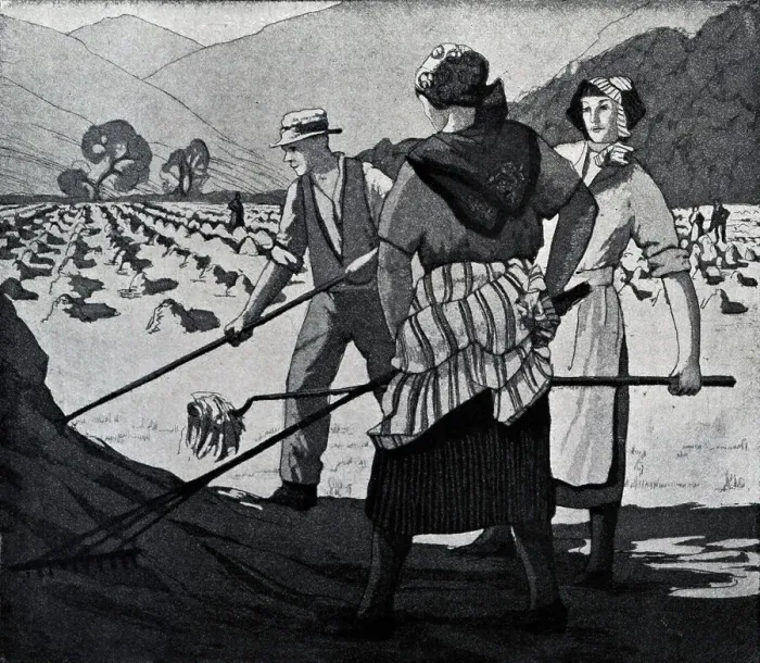 Framed Print : Field Workers Framed Print : Field Workers