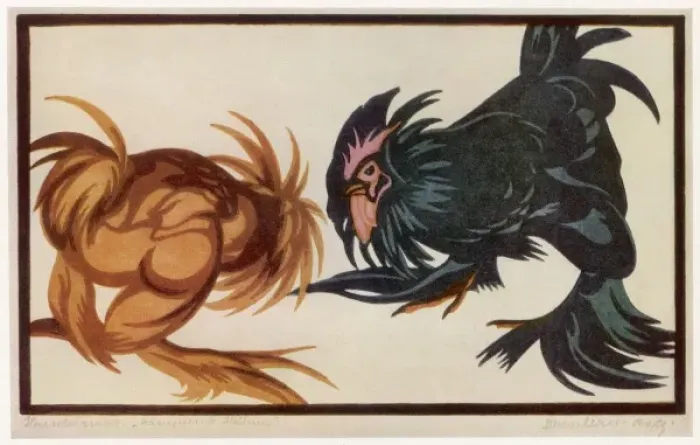 Framed Print : Fighting Cocks Framed Print : Fighting Cocks