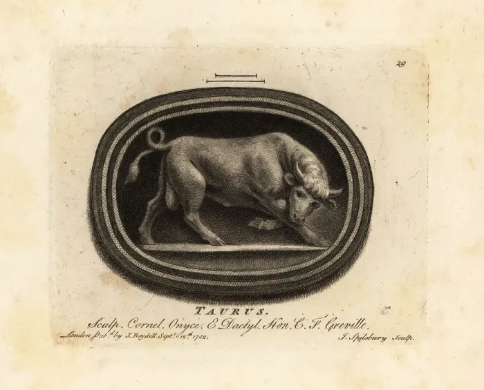 Framed Print : Figure of a charging bull. Taurus Framed Print : Figure of a charging bull. Taurus