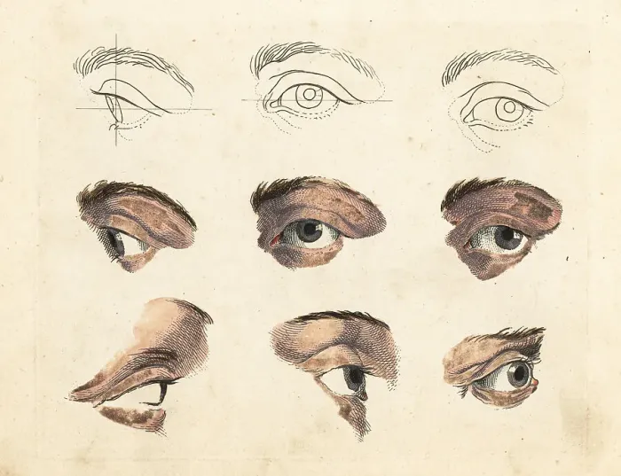 Framed Print : Figures of eyes and brows from a painting by old master Framed Print : Figures of eyes and brows from a painting by old master