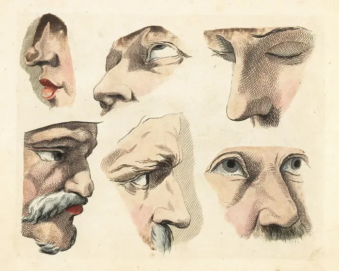 Framed Print : Figures of male eyes, noses, chins, mustaches and brows