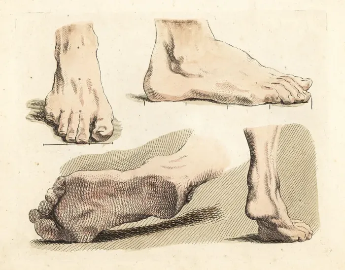 Framed Print : Figures of male feet, ankles, toes and soles Framed Print : Figures of male feet, ankles, toes and soles