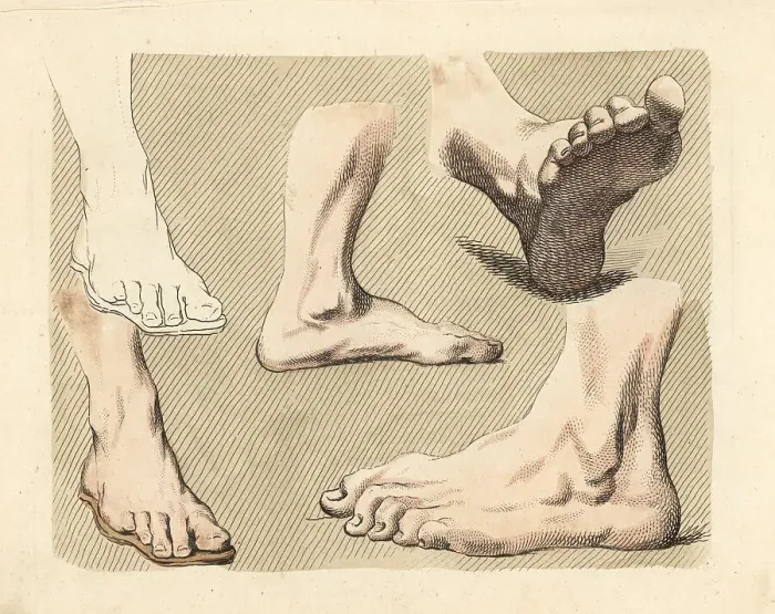 Framed Print : Figures of male feet, toes, ankles, from paintings Framed Print : Figures of male feet, toes, ankles, from paintings