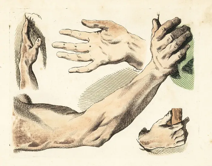 Framed Print : Figures of male fingers, hands, arms, gestures Framed Print : Figures of male fingers, hands, arms, gestures