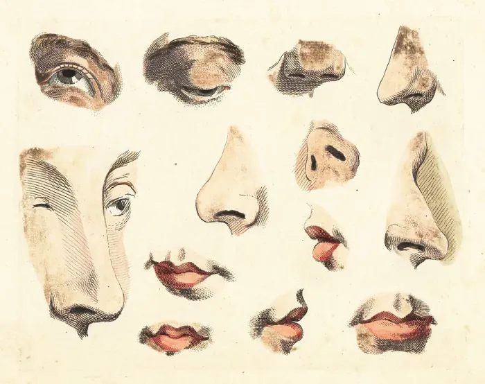 Framed Print : Figures of noses, eyes, mouths and lips Framed Print : Figures of noses, eyes, mouths and lips