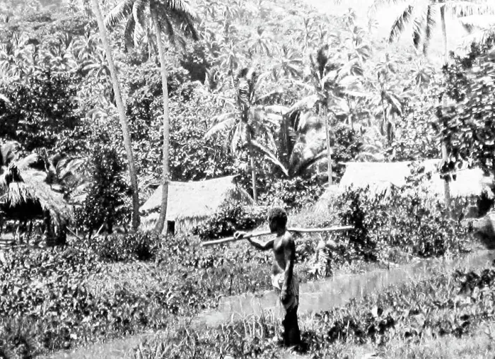 Framed Print : Fijian village in the Bush, Fiji, Victorian period Framed Print : Fijian village in the Bush, Fiji, Victorian period