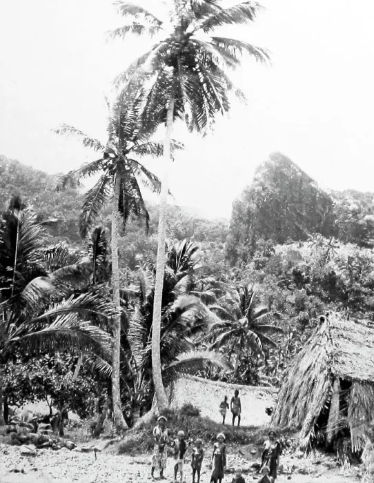Framed Print : Fijian village, Fiji, Victorian period Framed Print : Fijian village, Fiji, Victorian period