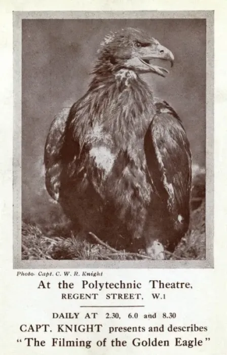 Framed Print : Filming of the Golden Eagle, Polytechnic Theatre, London Framed Print : Filming of the Golden Eagle, Polytechnic Theatre, London