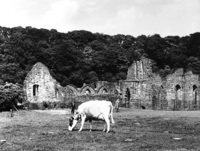 Framed Print : Finchdale Priory Ruins Framed Print : Finchdale Priory Ruins