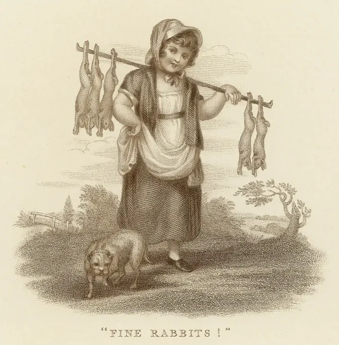 Framed Print : FINE RABBITS FOR SALE Framed Print : FINE RABBITS FOR SALE
