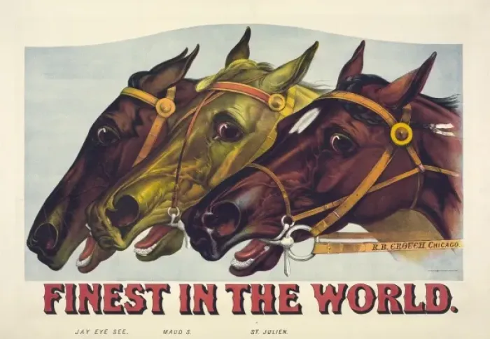 Framed Print : Finest in the world Framed Print : Finest in the world