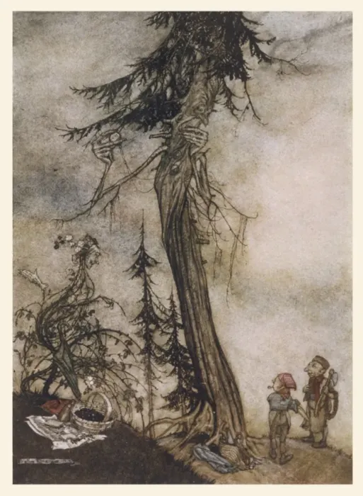Framed Print : Fir Tree and Bramble Framed Print : Fir Tree and Bramble