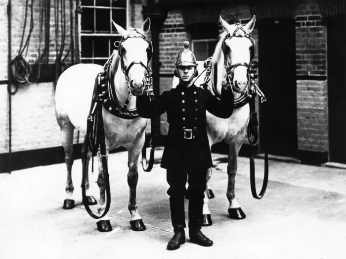Framed Print : Fireman in brass helmet with two white horses Framed Print : Fireman in brass helmet with two white horses