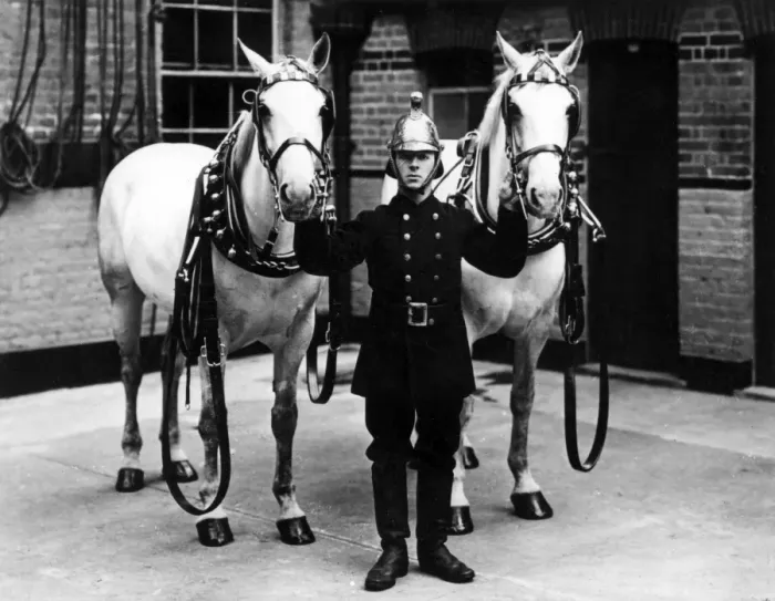 Framed Print : Fireman in brass helmet with two white horses