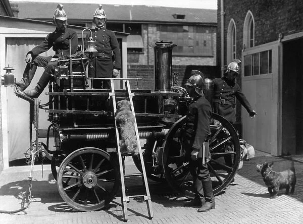 Firemen with fire engine and dogs, Surbiton, Surrrey