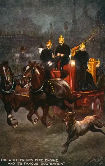 Framed Print : Firemens Dog Baron Framed Print : Firemens Dog Baron