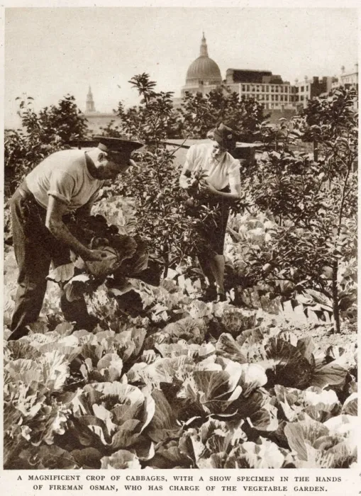 Framed Print : Firemens Farm in the Heart of the City WWII Framed Print : Firemens Farm in the Heart of the City WWII