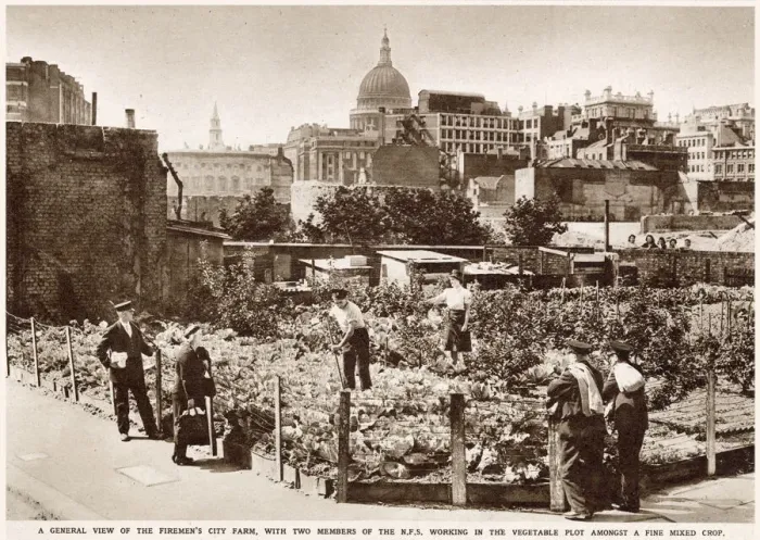 Framed Print : Firemens Farm in the Heart of the City WWII Framed Print : Firemens Farm in the Heart of the City WWII