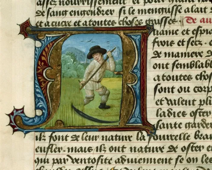 Framed Print : FIRENZE, Aldebrando da (14th century). Treatise Framed Print : FIRENZE, Aldebrando da (14th century). Treatise