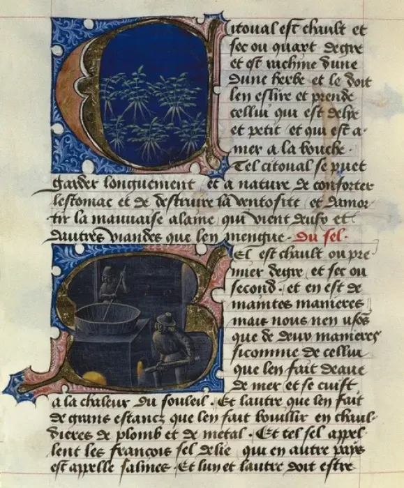 Framed Print : FIRENZE, Aldebrando da. Treaty of Medicine, 1356 Framed Print : FIRENZE, Aldebrando da. Treaty of Medicine, 1356