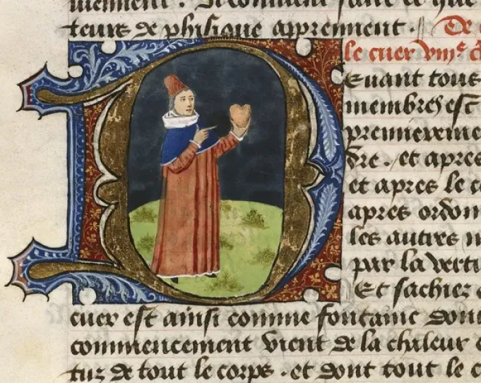 Framed Print : FIRENZE, Aldebrando da. Treaty of Medicine, 1356 Framed Print : FIRENZE, Aldebrando da. Treaty of Medicine, 1356