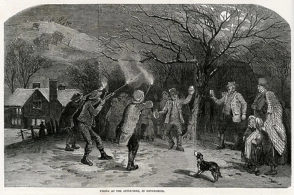 Firing at the apple-tree in Devonshire
