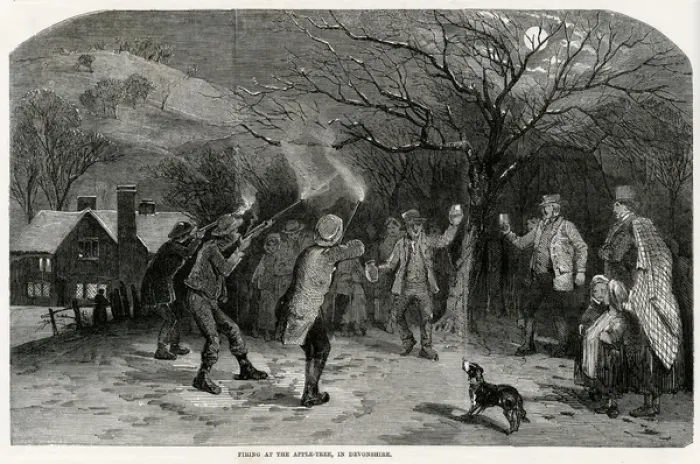 Framed Print : Firing at the apple-tree in Devonshire Framed Print : Firing at the apple-tree in Devonshire