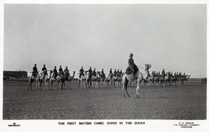 Framed Print : The First British Camel Corps in the Sudan Framed Print : The First British Camel Corps in the Sudan