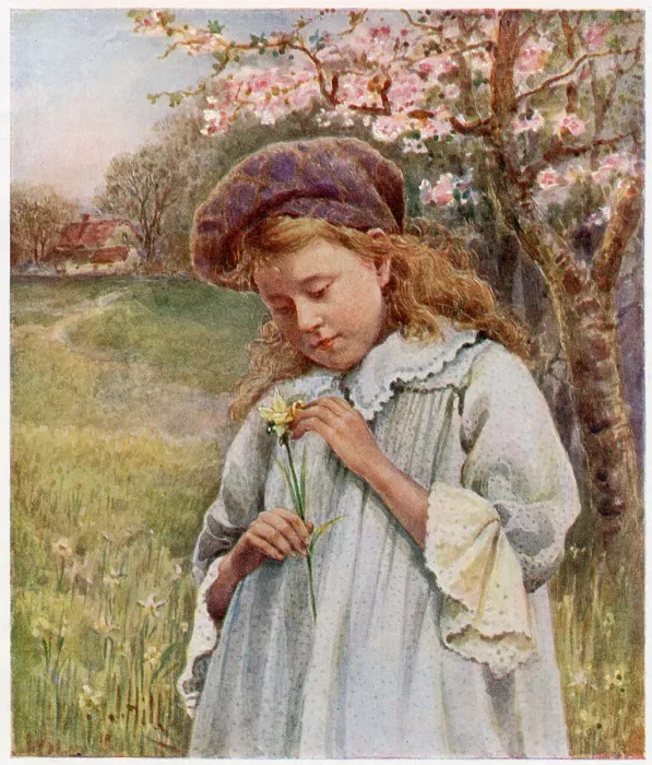 Framed Print : The first daffodil of spring'. Date: 1910 Framed Print : The first daffodil of spring'. Date: 1910