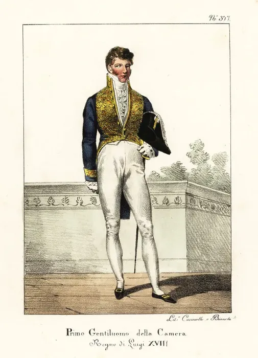 Framed Print : First Gentleman of the Bedchamber, reign of King Louis XVIII Framed Print : First Gentleman of the Bedchamber, reign of King Louis XVIII