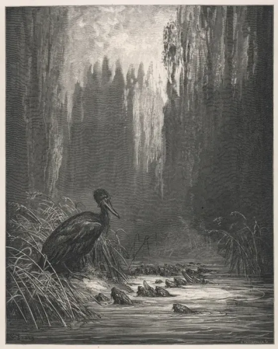 Framed Print : The Fish & the Cormorant Framed Print : The Fish & the Cormorant