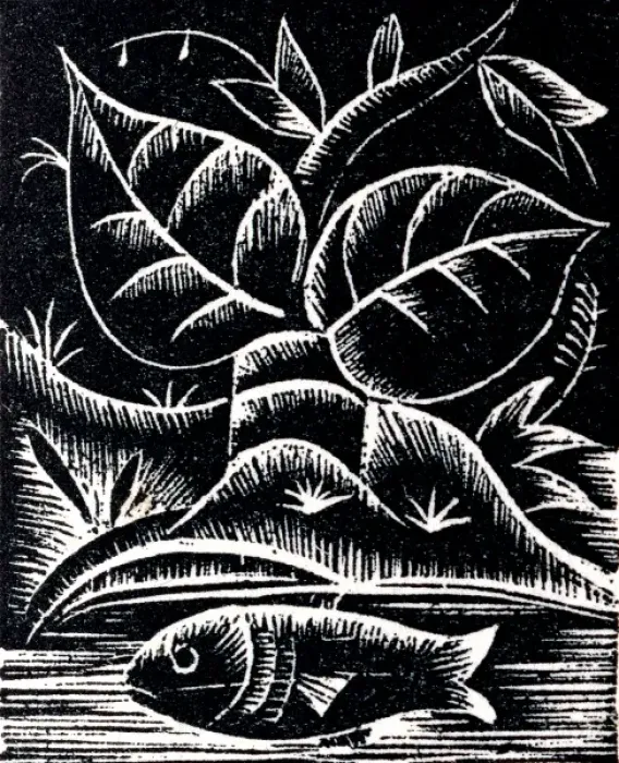 Framed Print : A fish swimming in a river Framed Print : A fish swimming in a river