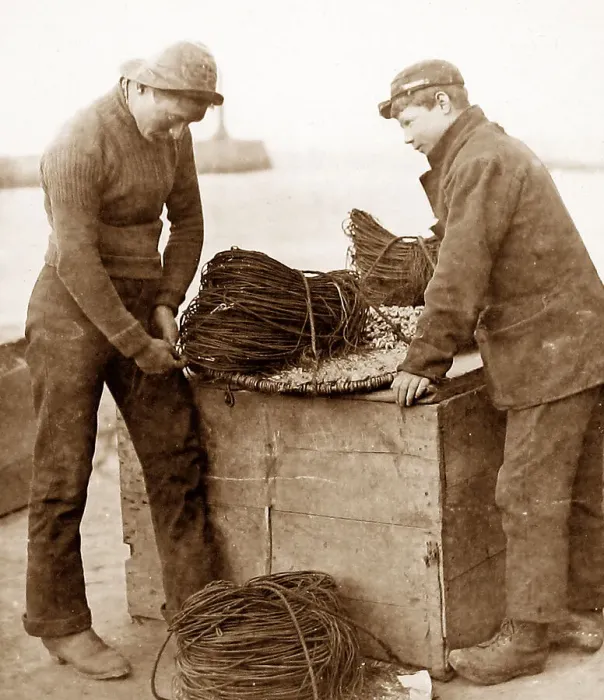 Framed Print : Fishermen baiting fishing lines Framed Print : Fishermen baiting fishing lines