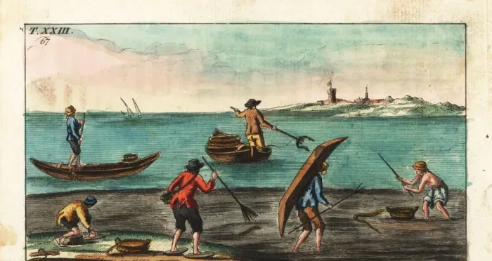 Framed Print : Fishermen catching eels, Europe, 18th century Framed Print : Fishermen catching eels, Europe, 18th century