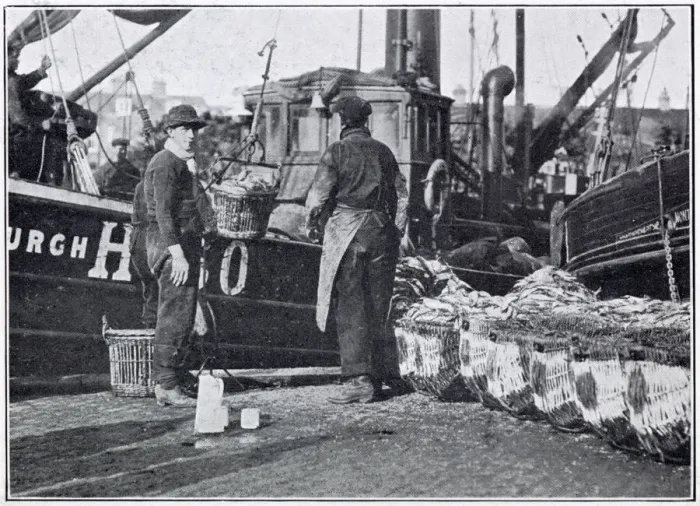 Framed Print : Fishermen unloading their catch during the herring harvest, October and November Framed Print : Fishermen unloading their catch during the herring harvest, October and November